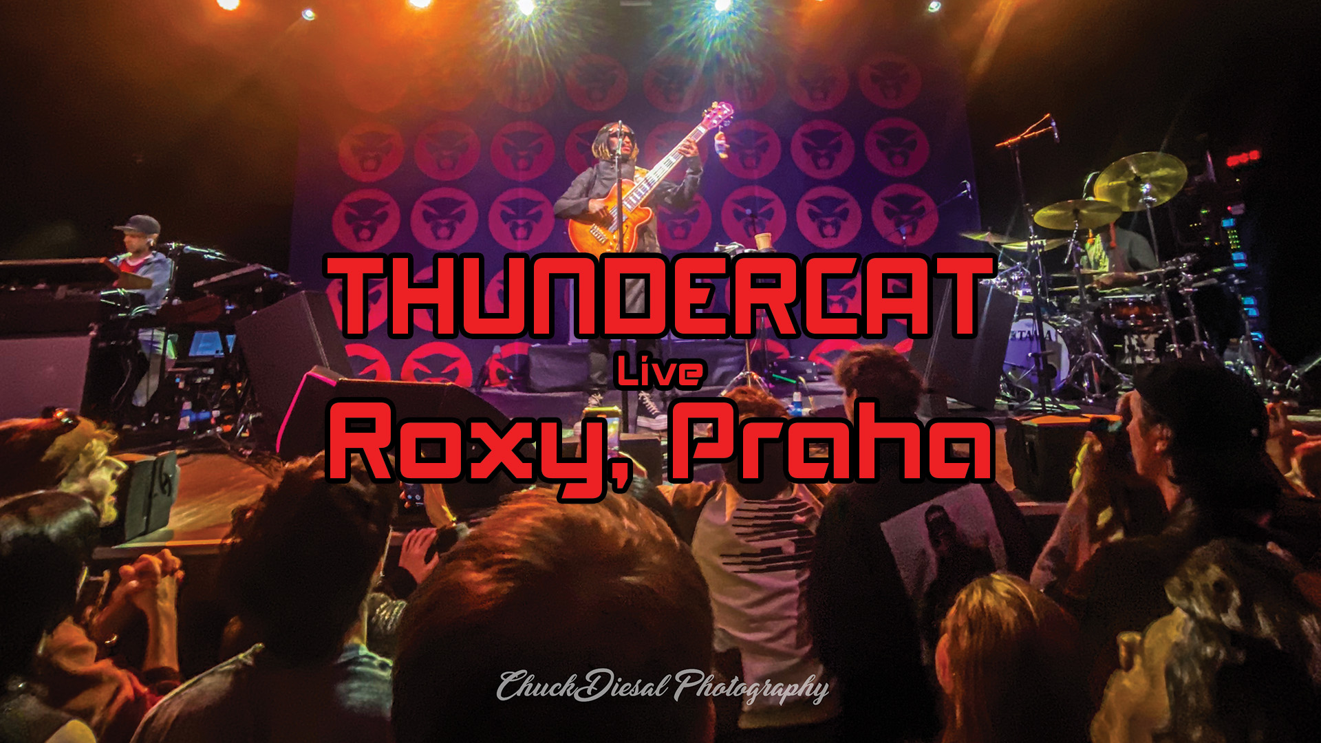 Thundercat Live at Roxy Prague. Sold Out Night of Bass, Soul and Crowd Energy. March 10 2026